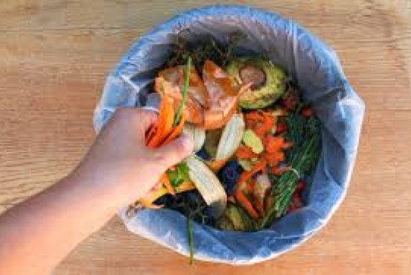 BDC - Council plans for food waste collections